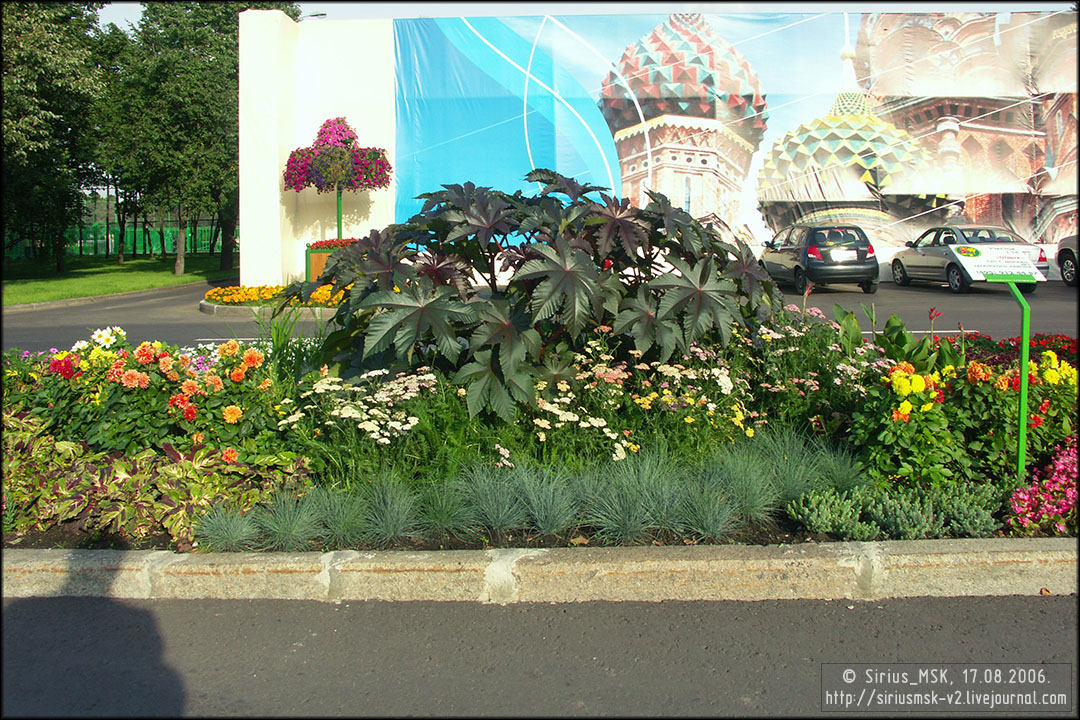 IV МГФЦиЛД «50 Лужникам», 17.08.2006