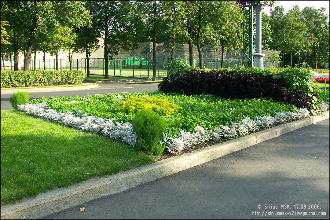 IV МГФЦиЛД «50 Лужникам», 17.08.2006