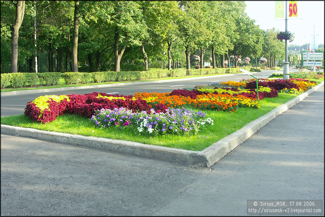 IV МГФЦиЛД «50 Лужникам», 17.08.2006