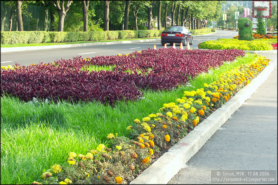 IV МГФЦиЛД «50 Лужникам», 17.08.2006