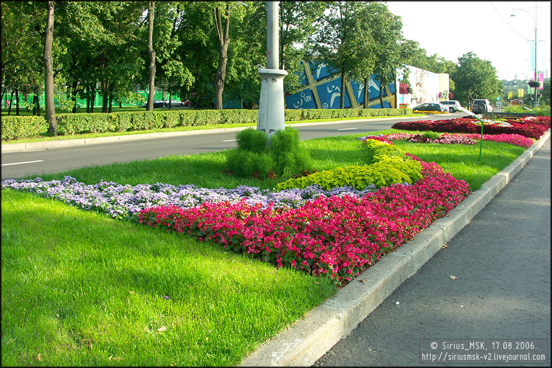 IV МГФЦиЛД «50 Лужникам», 17.08.2006