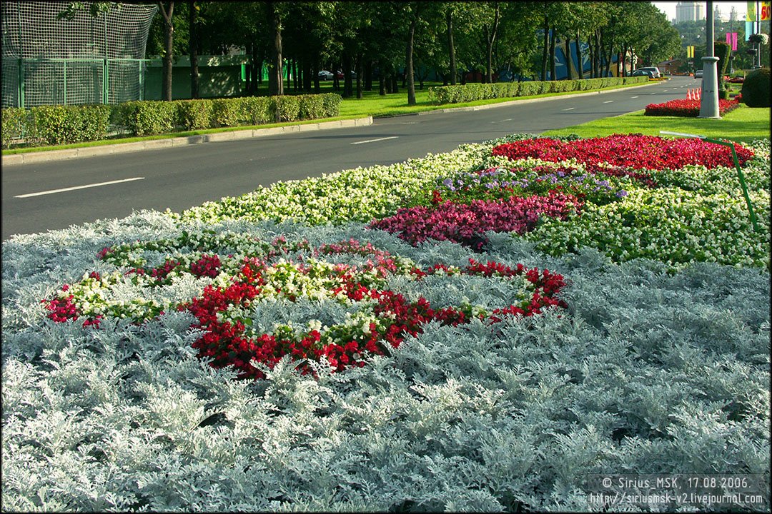 IV МГФЦиЛД «50 Лужникам», 17.08.2006