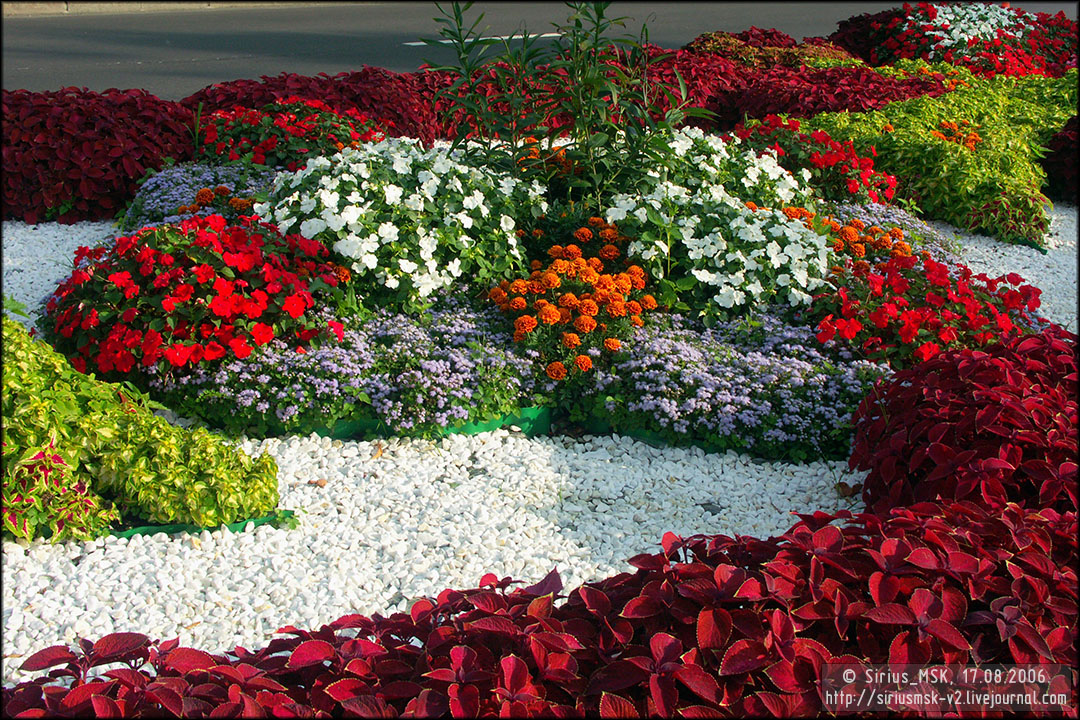 IV МГФЦиЛД «50 Лужникам», 17.08.2006