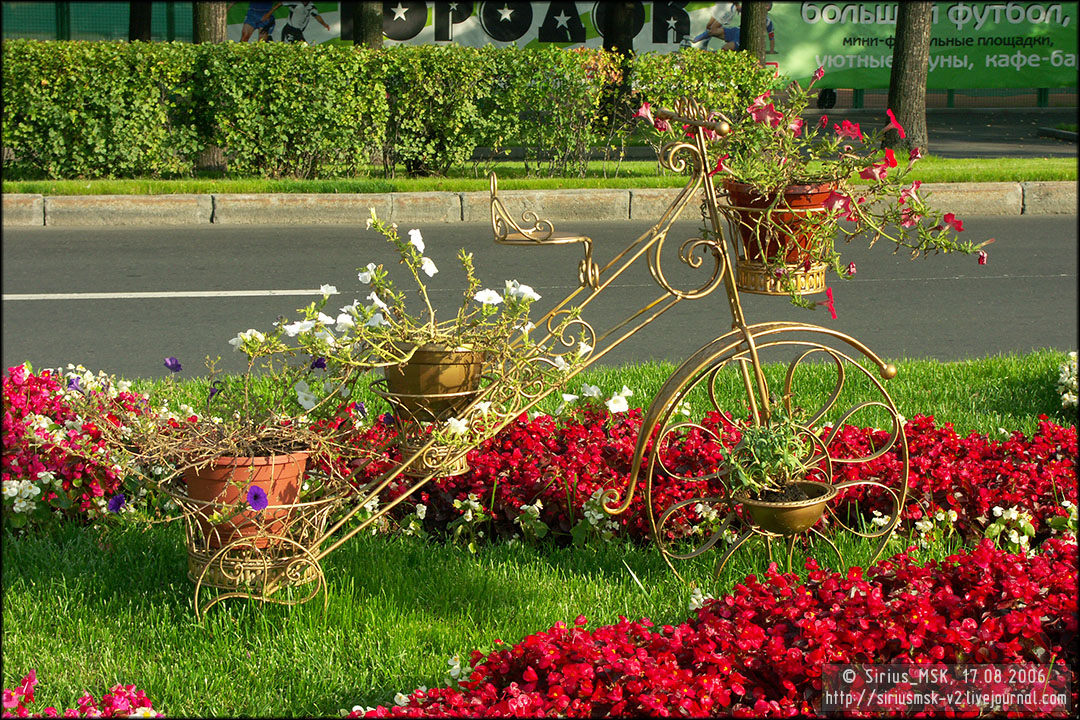 IV МГФЦиЛД «50 Лужникам», 17.08.2006