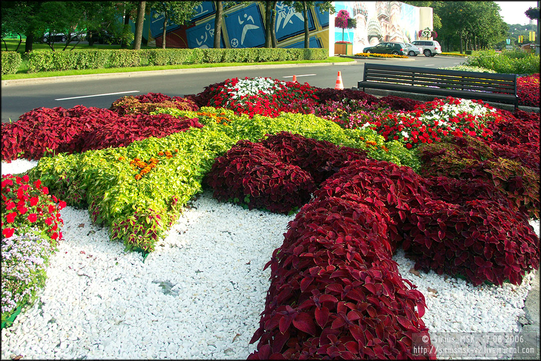 IV МГФЦиЛД «50 Лужникам», 17.08.2006