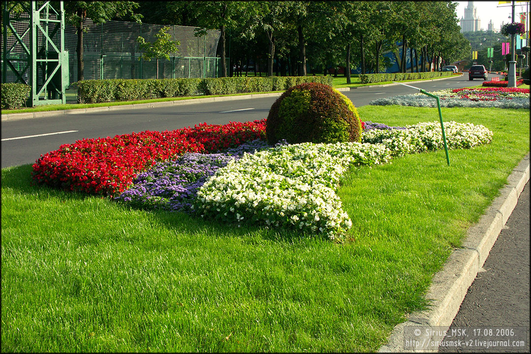 IV МГФЦиЛД «50 Лужникам», 17.08.2006