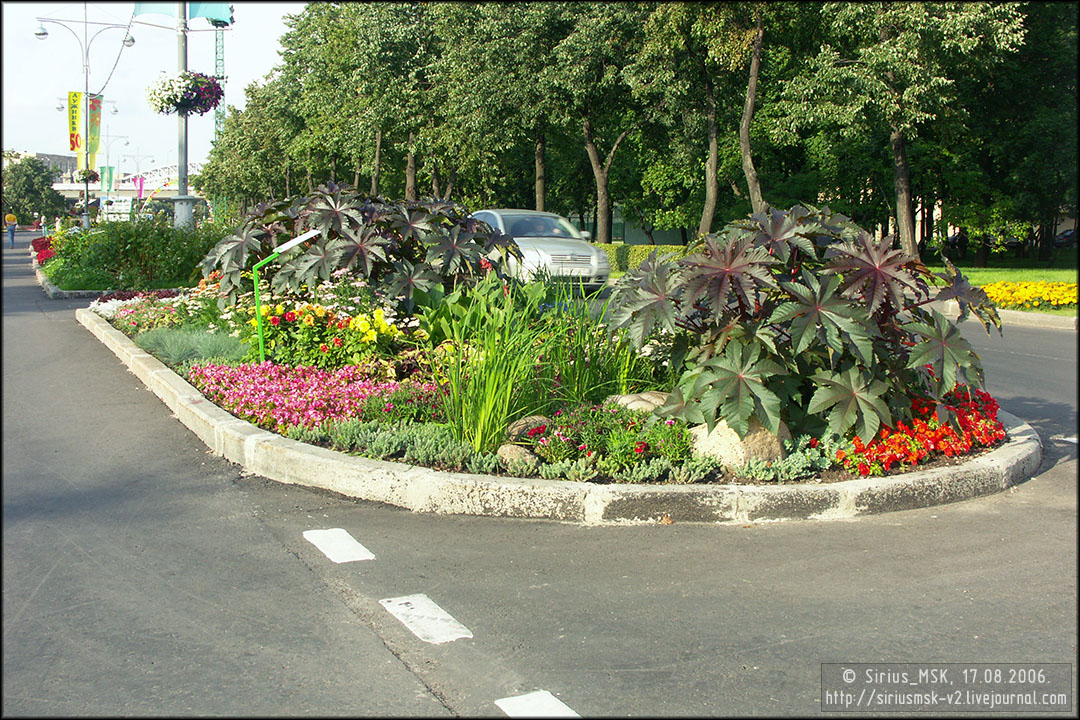 IV МГФЦиЛД «50 Лужникам», 17.08.2006