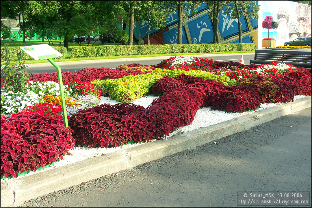 IV МГФЦиЛД «50 Лужникам», 17.08.2006