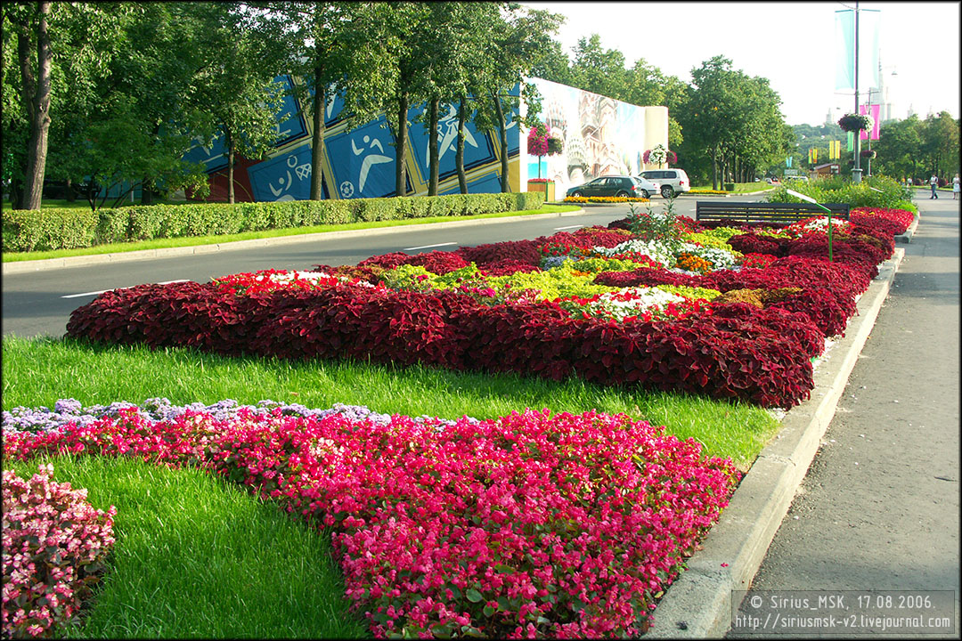 IV МГФЦиЛД «50 Лужникам», 17.08.2006