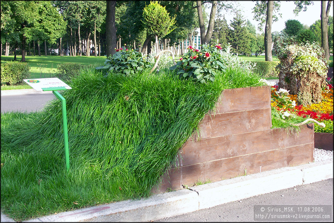 IV МГФЦиЛД «50 Лужникам», 17.08.2006