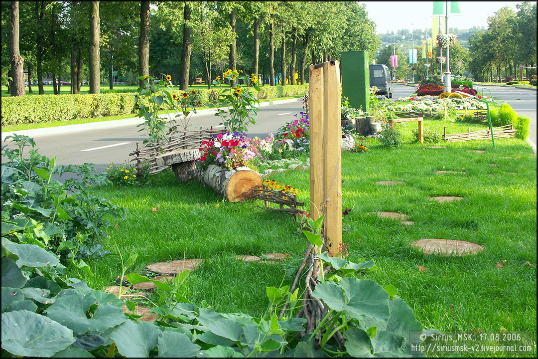 IV МГФЦиЛД «50 Лужникам», 17.08.2006