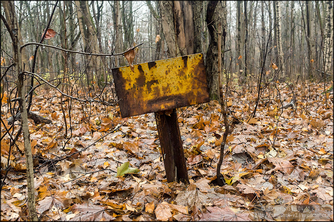 Бирюлёвский дендропарк, 04.11.2025