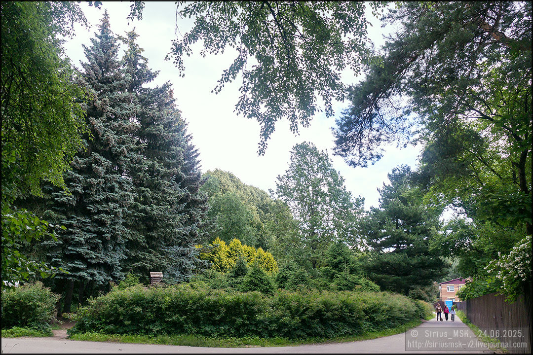 Бирюлёвский дендропарк, 24.06.2025