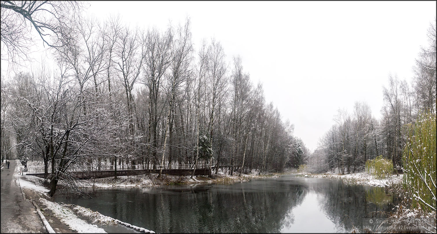 Бирюлёвский дендропарк, 15.11.2025