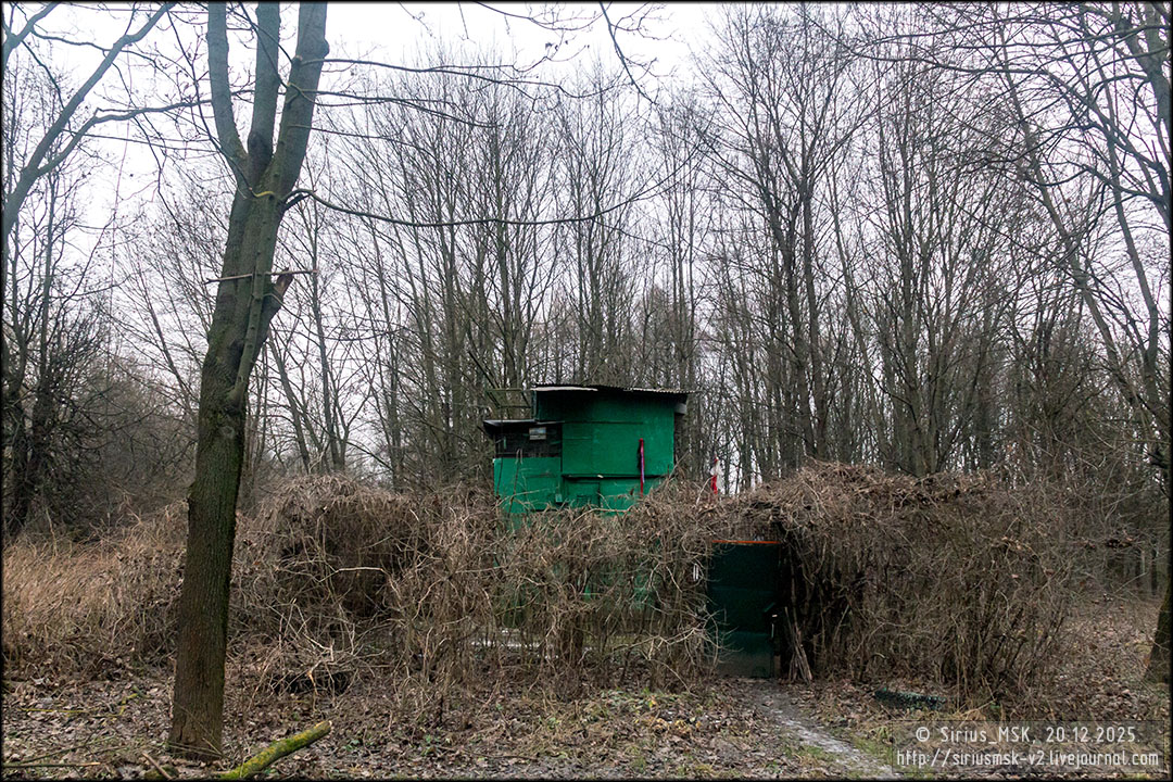 Бирюлёвский дендропарк, 20.12.2025