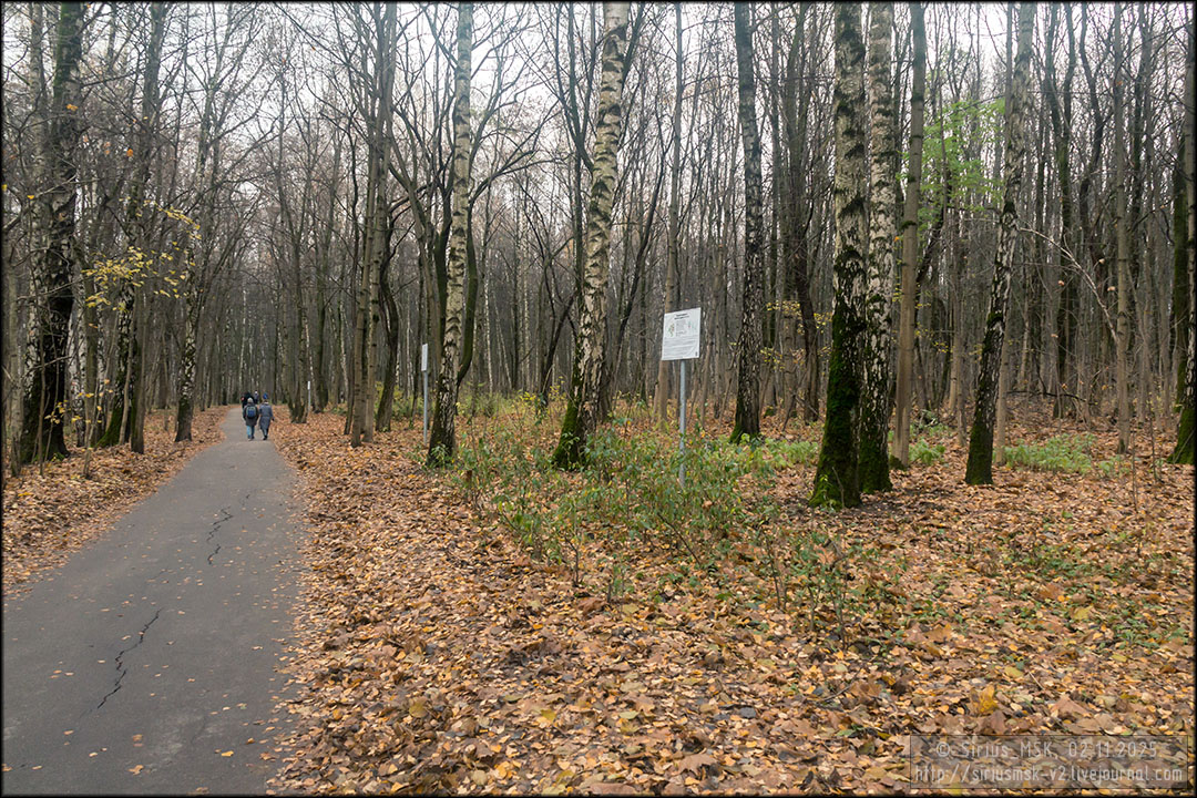Бирюлёвский дендропарк, 25.10.2025