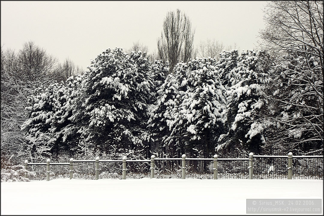 Бирюлёвский дендропарк, 24.02.2006