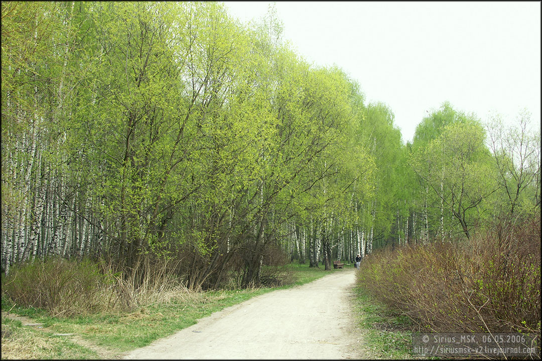 Бирюлёвский лесопарк, 06.05.2006