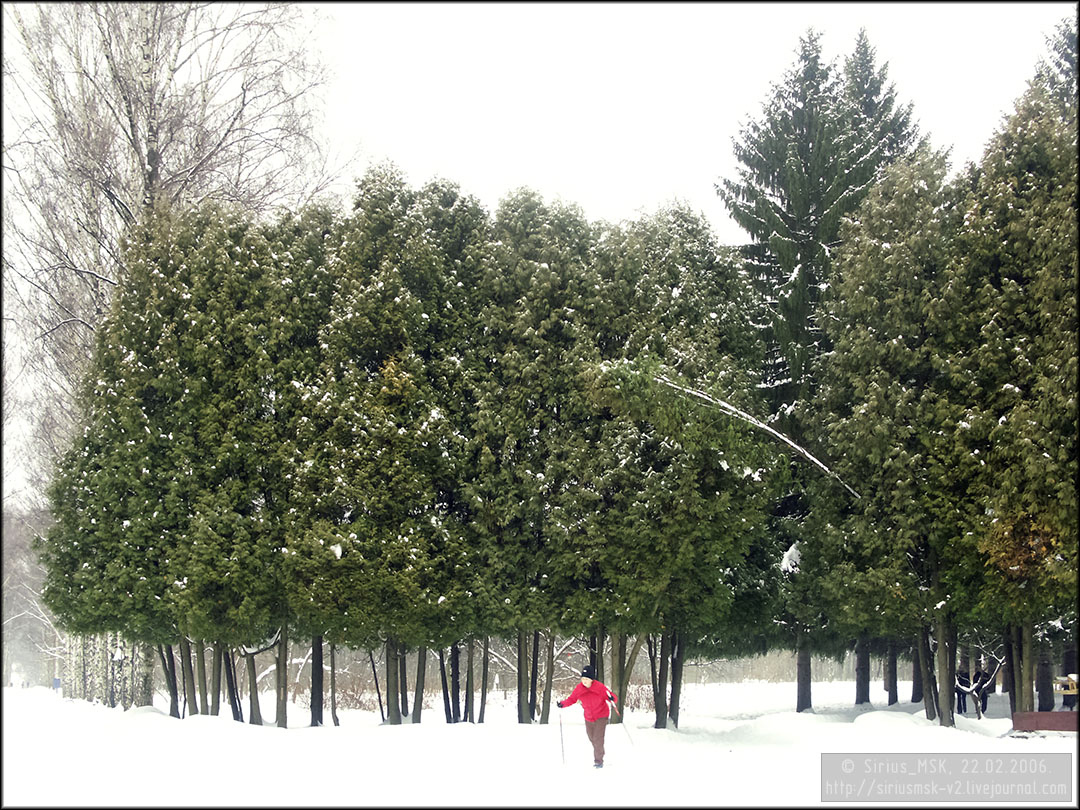 Бирюлёвский дендропарк, 22.02.2006