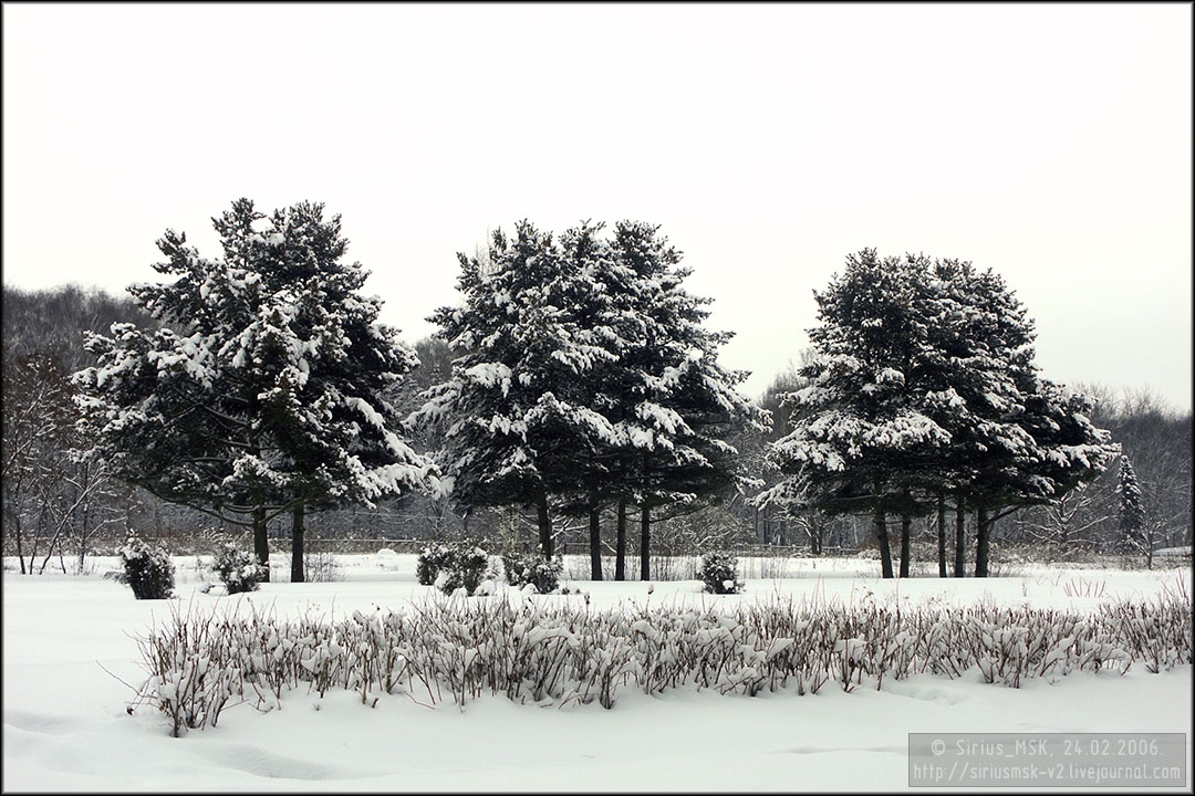 Бирюлёвский дендропарк, 24.02.2006