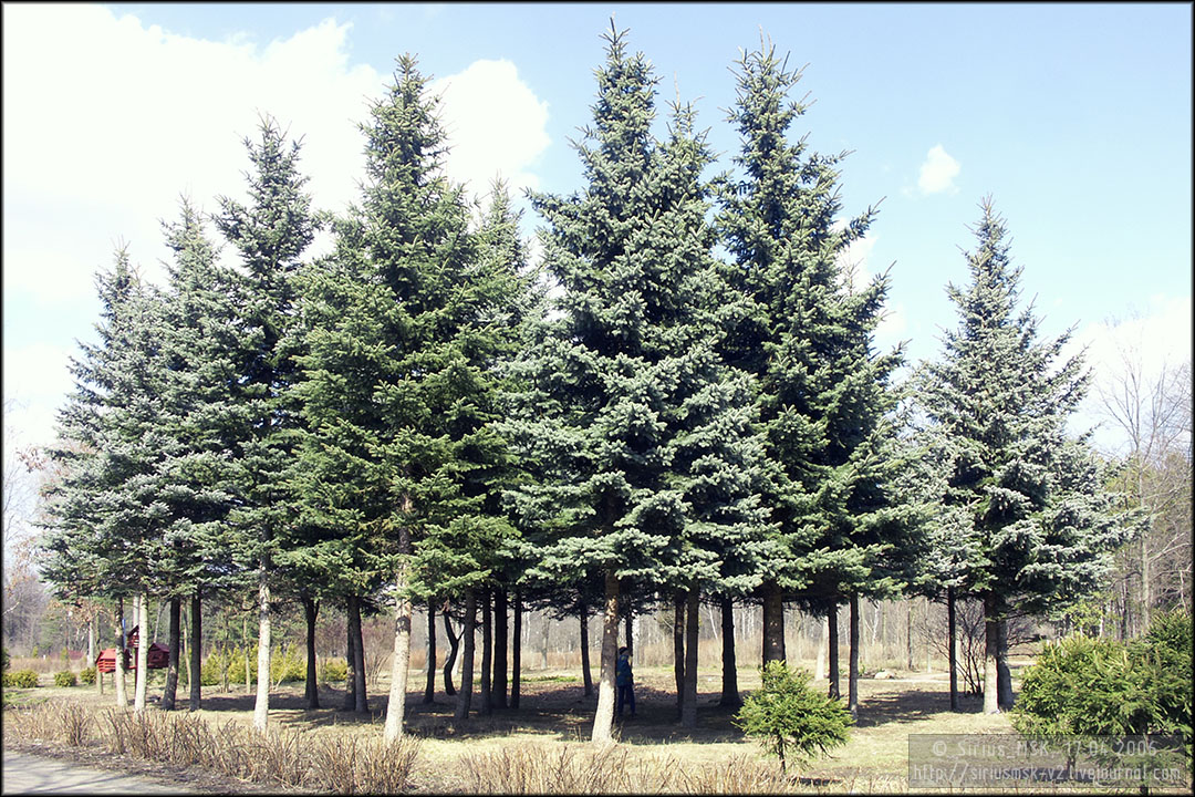 Бирюлёвский дендропарк, 17.04.2006