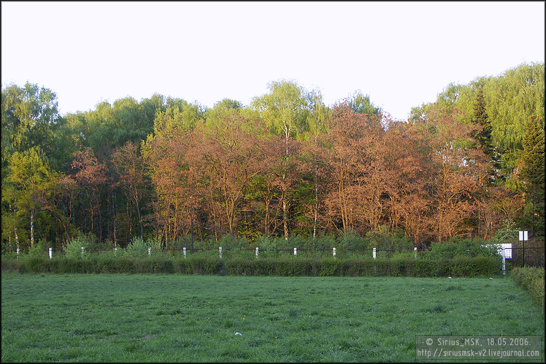 Бирюлёвский лесопарк, 18.05.2006