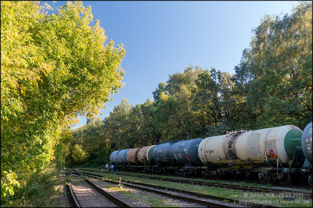 Бирюлёвский дендропарк, 22.09.2025