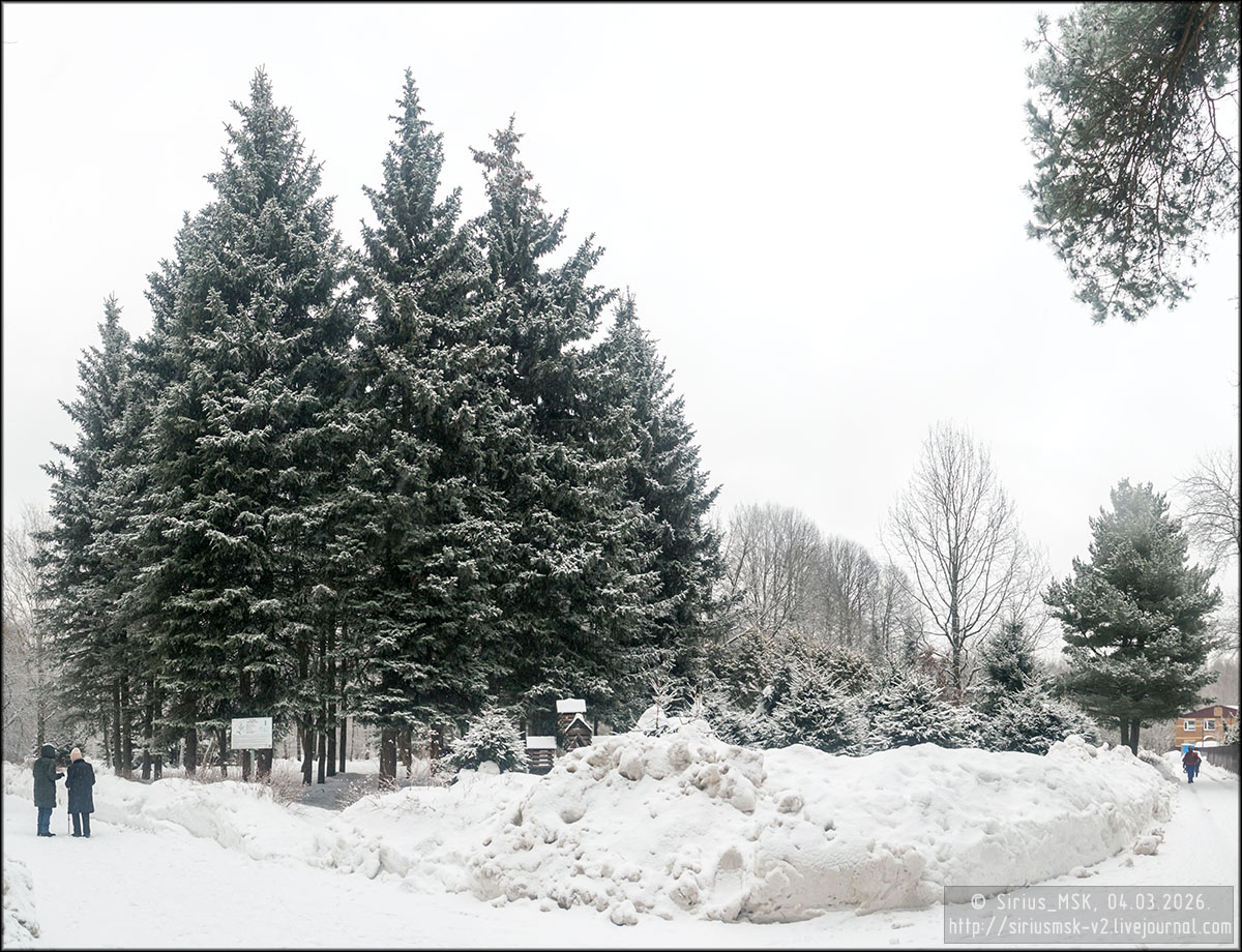 Бирюлёвский дендропарк, 05.01.2026