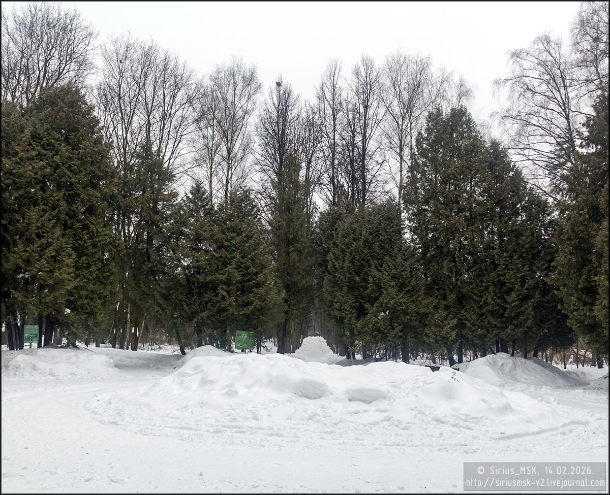 Бирюлёвский дендропарк, 05.01.2026