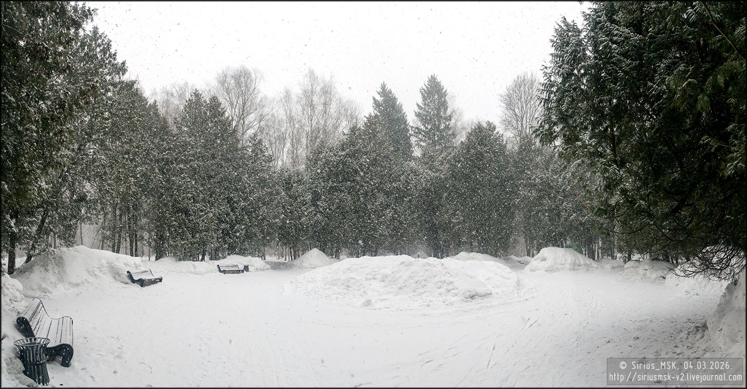 Бирюлёвский дендропарк, 05.01.2026