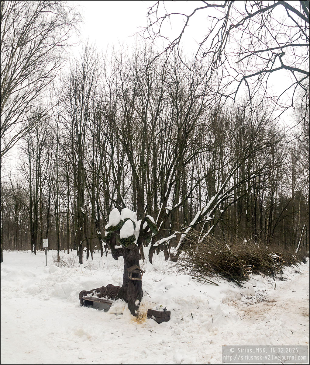 Бирюлёвский дендропарк, 05.01.2026