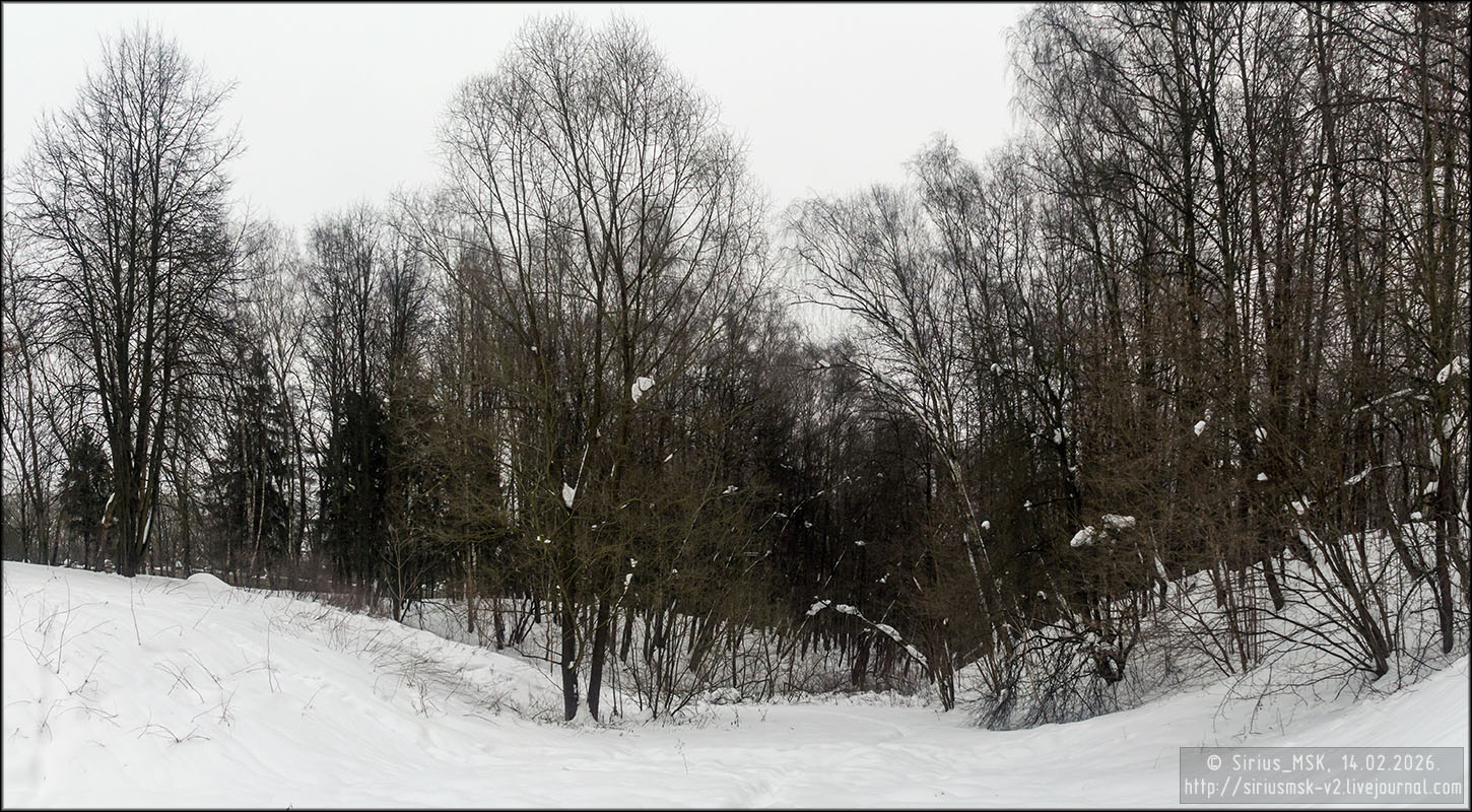 Бирюлёвский дендропарк, 05.01.2026