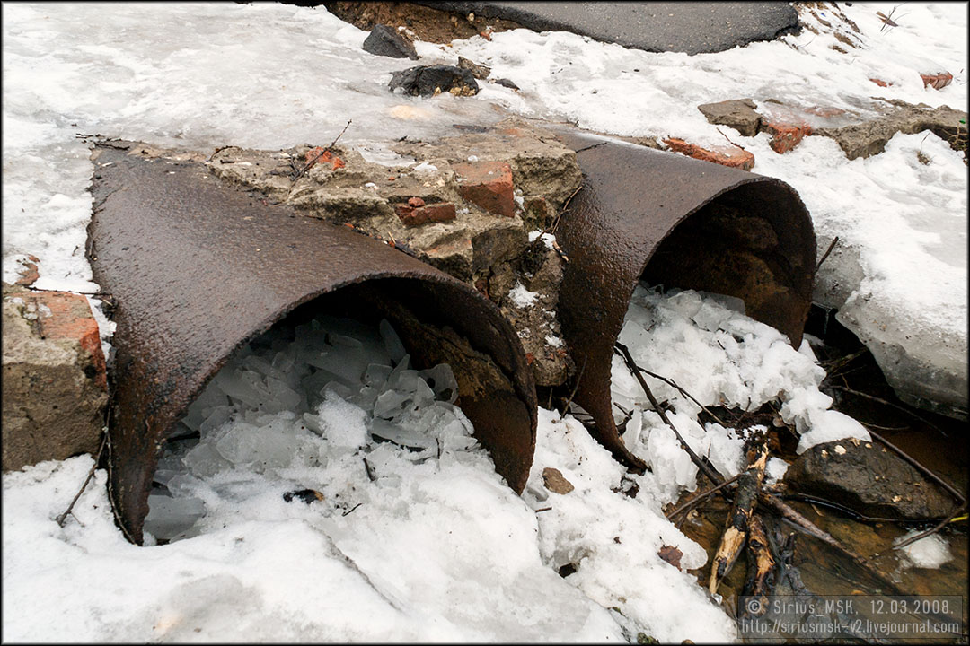 Бирюлёвский дендропарк, 12.03.2008