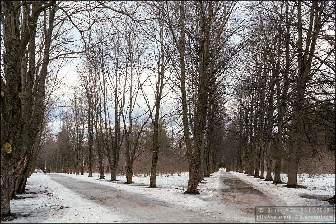 Бирюлёвский дендропарк, 26.02.2008