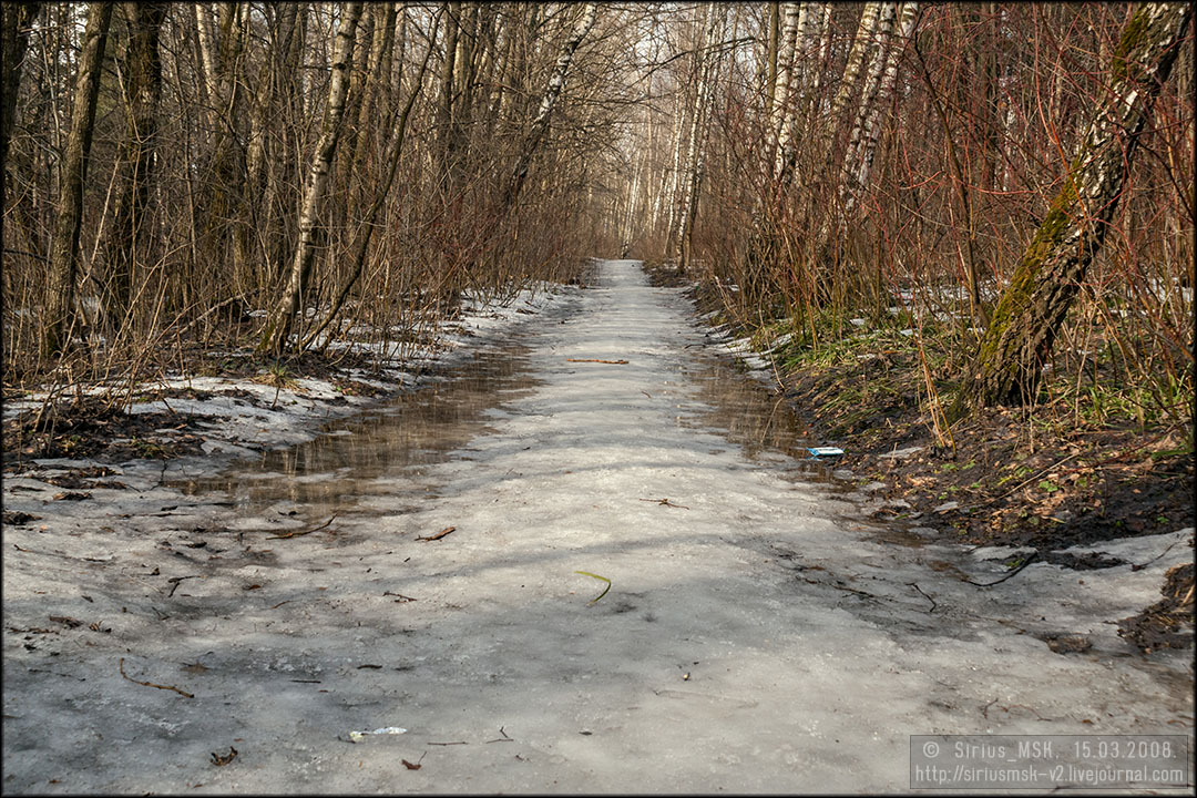 Бирюлёвский дендропарк, 12.03.2008