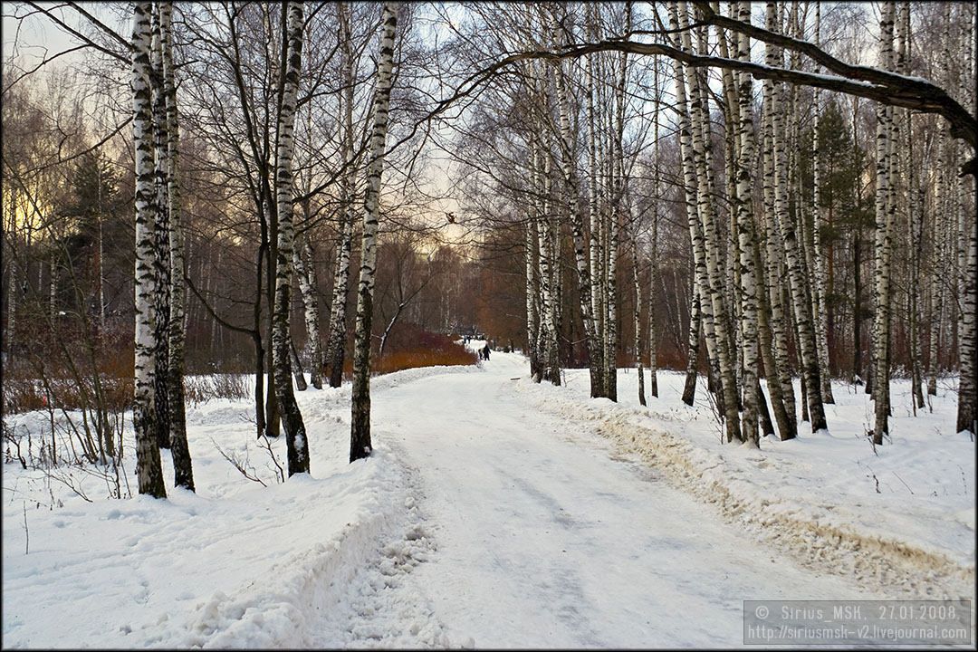 Бирюлёвский дендропарк, 27.01.2008