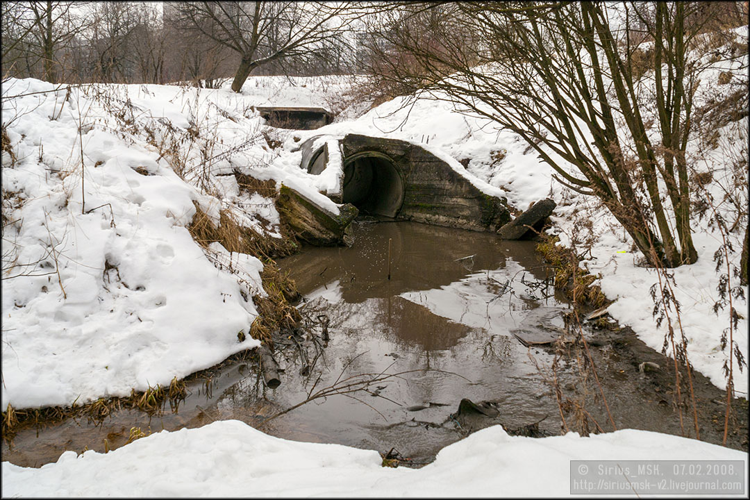 Бирюлёвский дендропарк, 07.02.2008