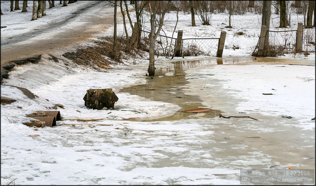 Бирюлёвский дендропарк, 26.02.2008