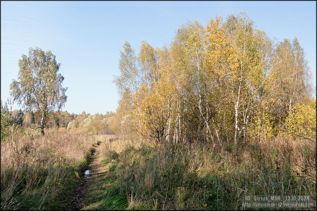 Бирюлёвский лесопарк, 12.10.2024