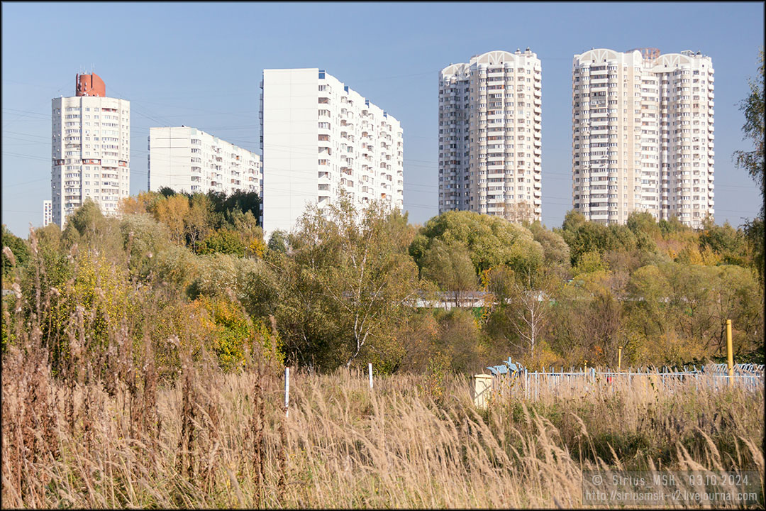 Бирюлёвский лесопарк, 03.10.2024