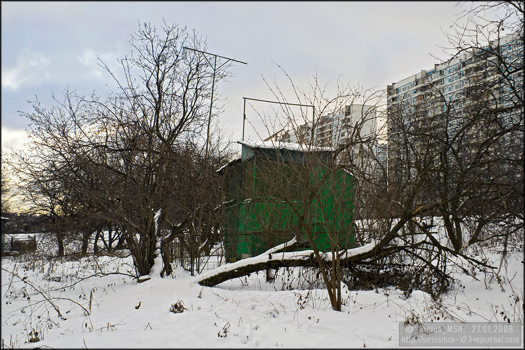 Бирюлёвский лесопарк, 27.01.2008