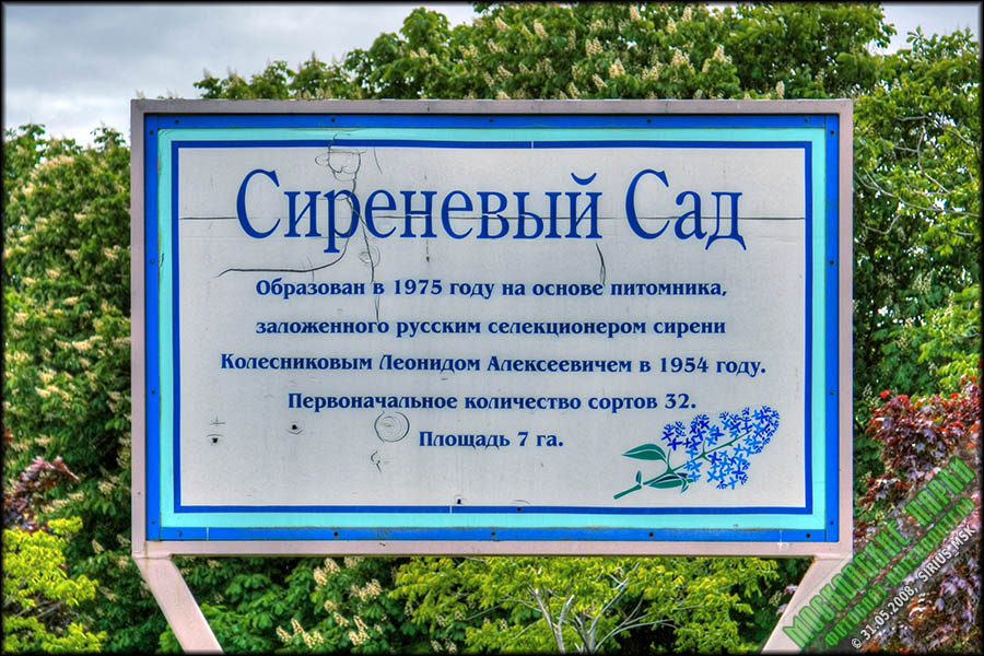 Сиреневый сад — Москва, Щелковское шоссе, вл. 8-12. Foto 19